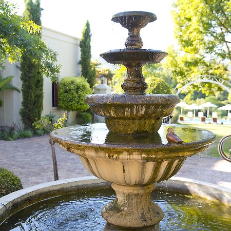 סטלנבוש Cultivar Boutique Hotel מראה חיצוני תמונה